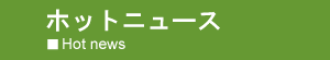 �z�b�g�j���[�X